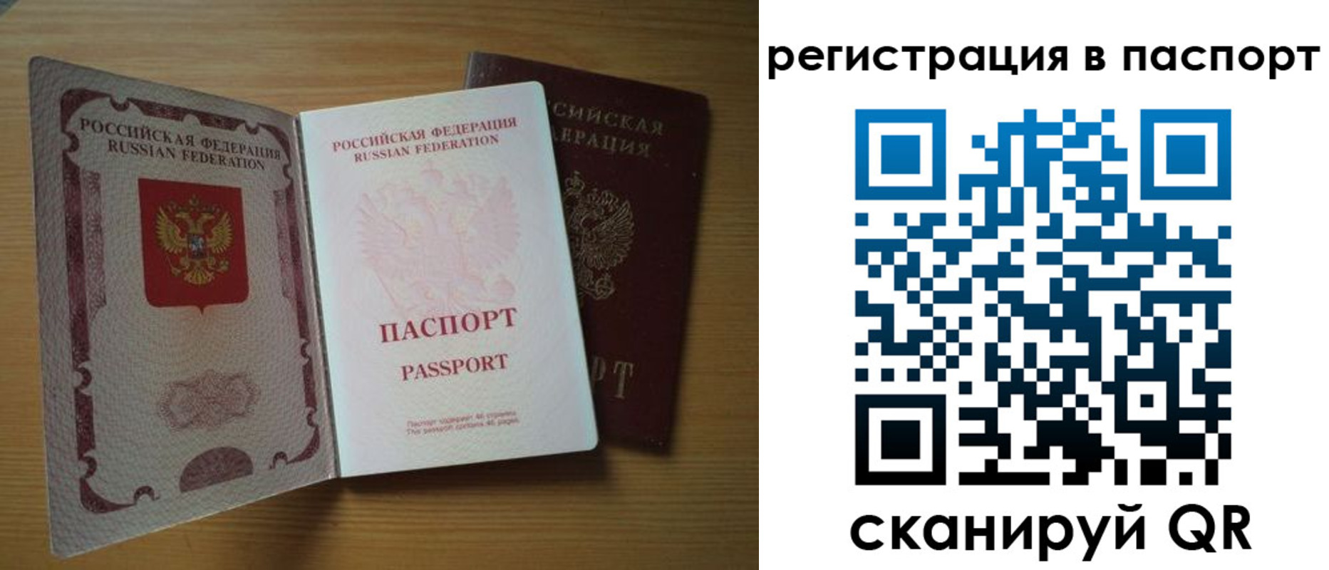прописка 2025 в Сафоново